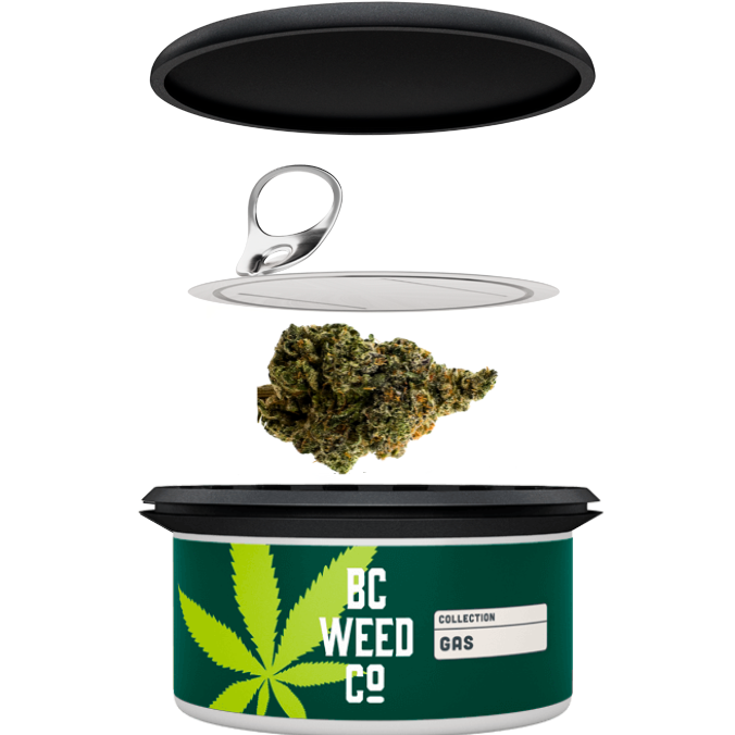 West Coast OG (EL Chapoz)