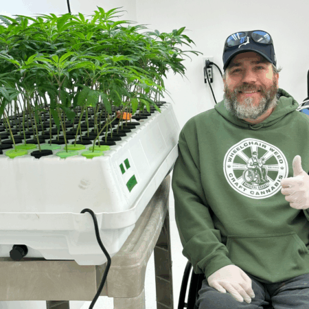 Breeder Voyage (Vol.2) – Honey Bananas